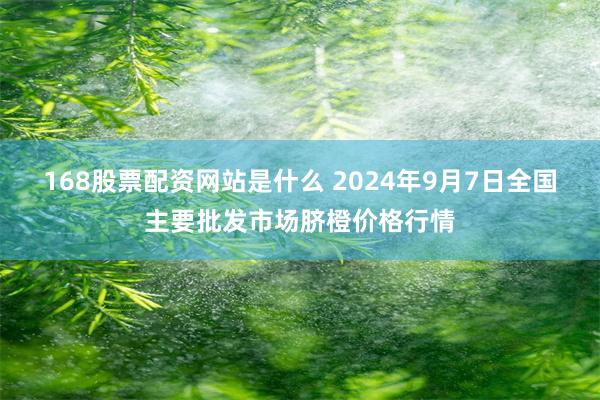 168股票配资网站是什么 2024年9月7日全国主要批发市场脐橙价格行情