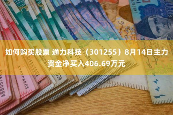 如何购买股票 通力科技（301255）8月14日主力资金净买入406.69万元