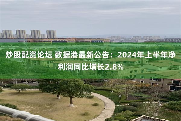 炒股配资论坛 数据港最新公告：2024年上半年净利润同比增长2.8%