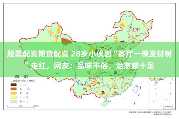 股票配资期货配资 28岁小伙因“客厅一棵发财树”走红，网友：品味不俗，治愈感十足