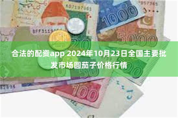 合法的配资app 2024年10月23日全国主要批发市场圆茄子价格行情