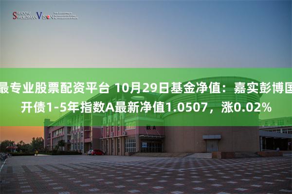 最专业股票配资平台 10月29日基金净值：嘉实彭博国开债1-5年指数A最新净值1.0507，涨0.02%