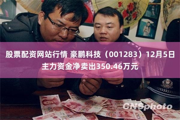 股票配资网站行情 豪鹏科技（001283）12月5日主力资金净卖出350.46万元