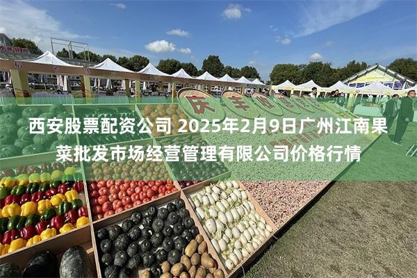 西安股票配资公司 2025年2月9日广州江南果菜批发市场经营管理有限公司价格行情