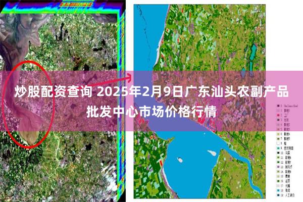 炒股配资查询 2025年2月9日广东汕头农副产品批发中心市场价格行情